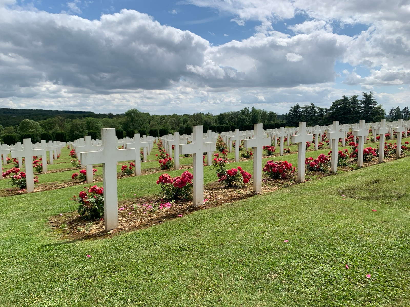 verdun1